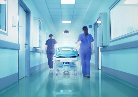 responsabilità struttura sanitaria